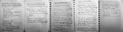 Blog_rocketdog_tinybunny_notes