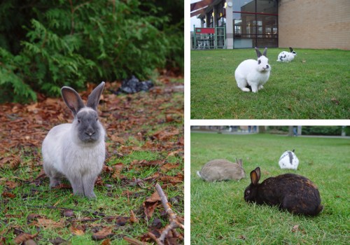 Tweak_favevacationphoto