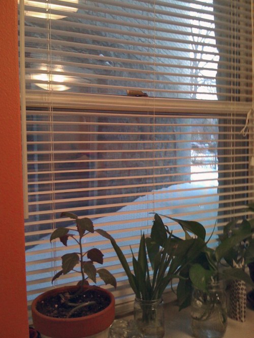 Tweak_kitchenwindowview