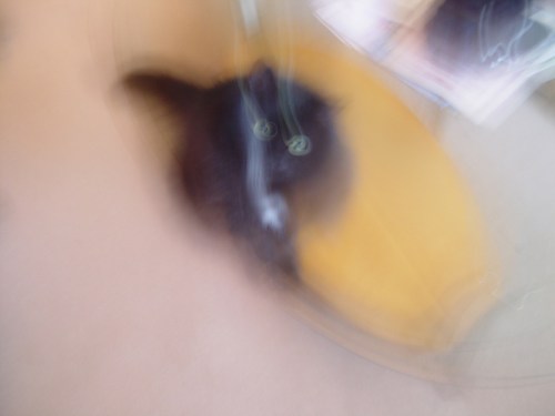 Tweak_photowhilejumping1