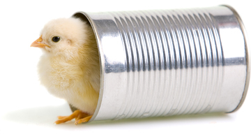 Blog_peckingattheshell_ss_1446