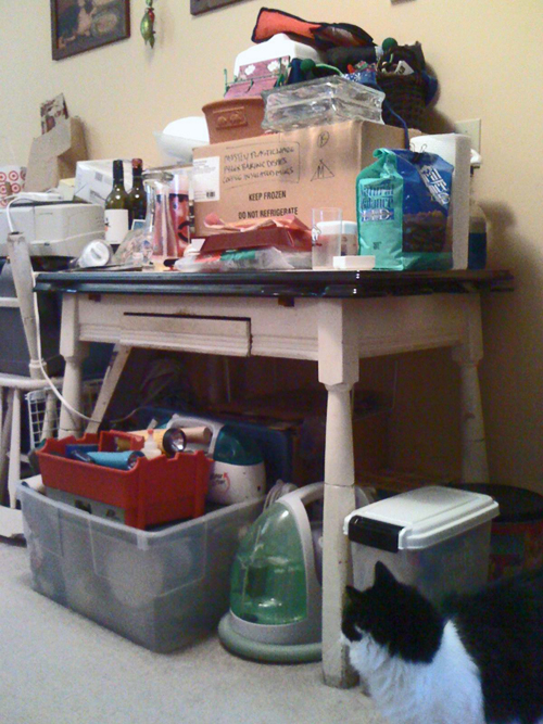 Pilekitchentable_blog