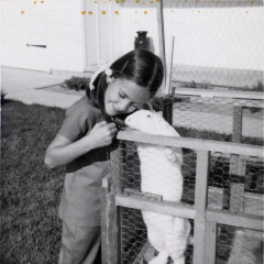 Youngster_clover_summer71