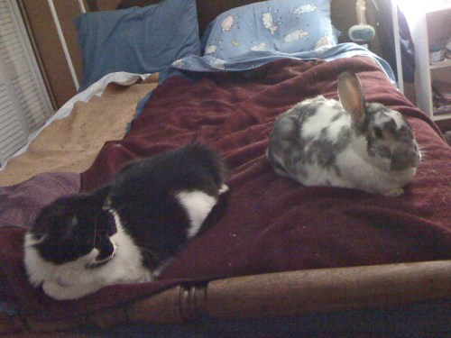 Favefurniturebed_tweak