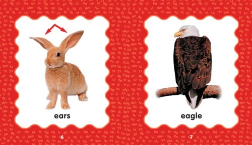 Fs_eva_ethan_final_cropped-6