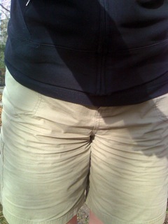 Signofspring_shorts_tweak