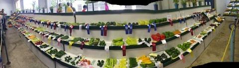 panoramic photo of vegetables
